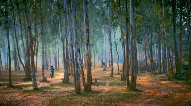 Shantiniketan 2