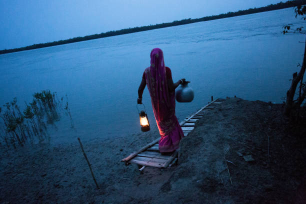 Sunderbans 3